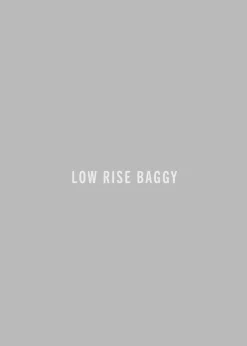 Shop AGOLDE Low Slung Baggy 30.5\\